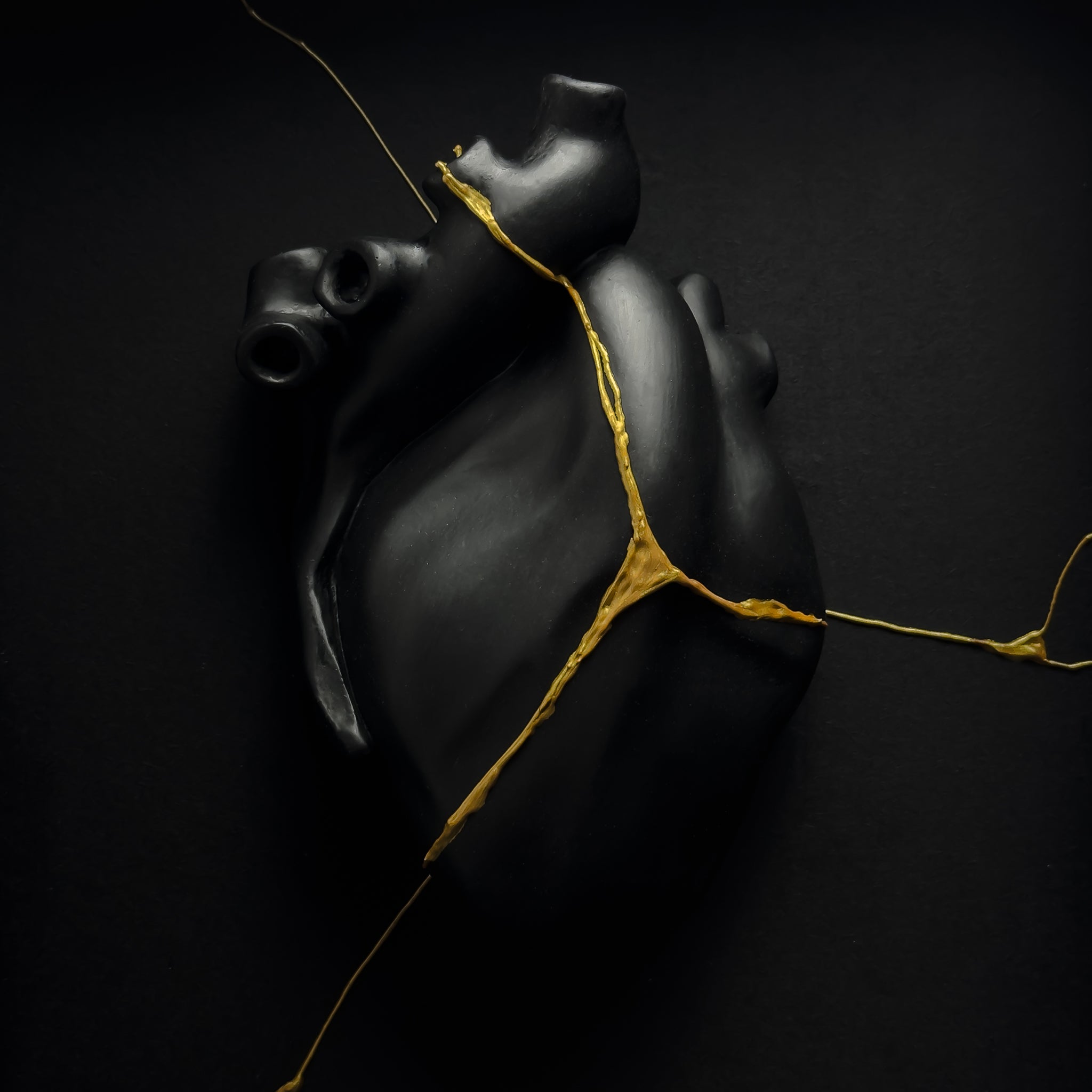 Cuore Anatomico Kintsugi Nero Con Cornice