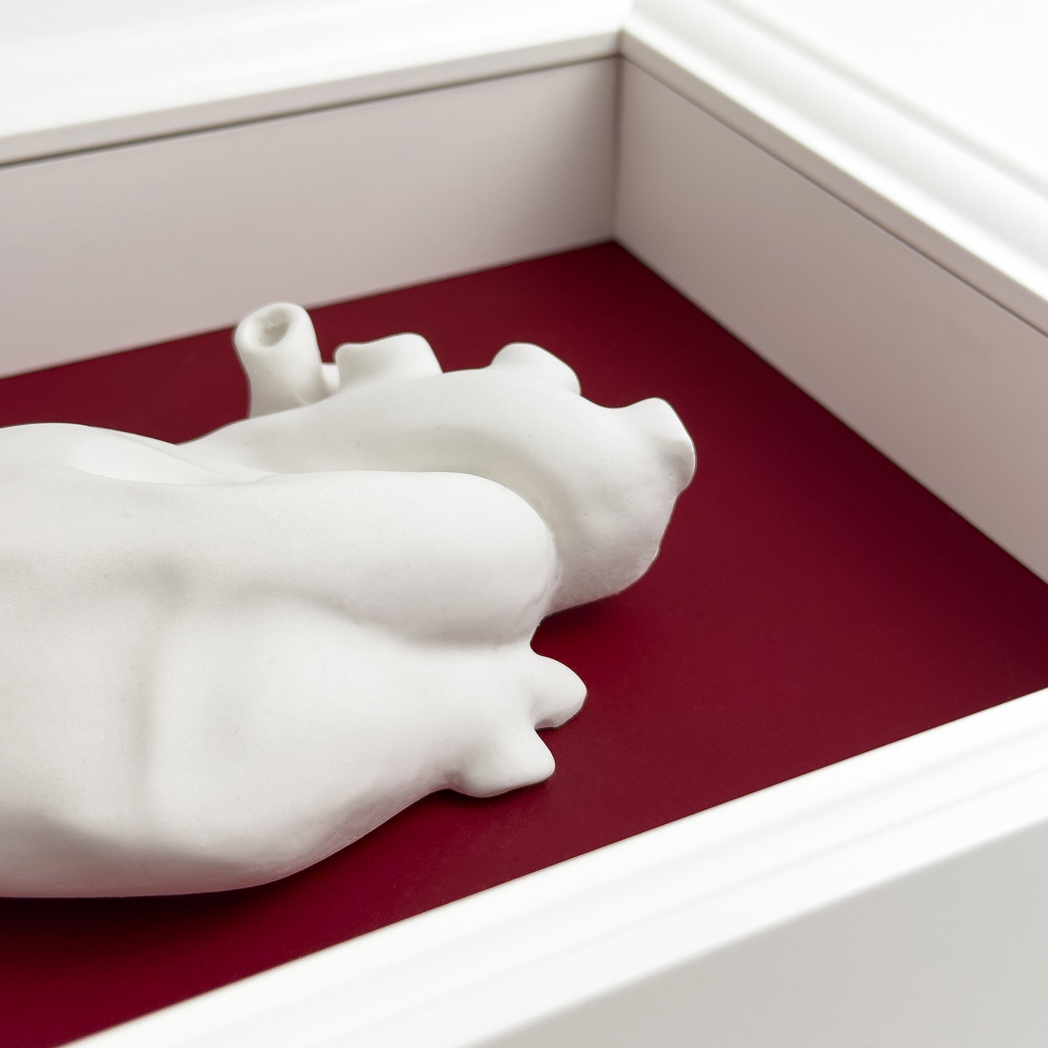 Cuore Anatomico "Tu" con Cornice