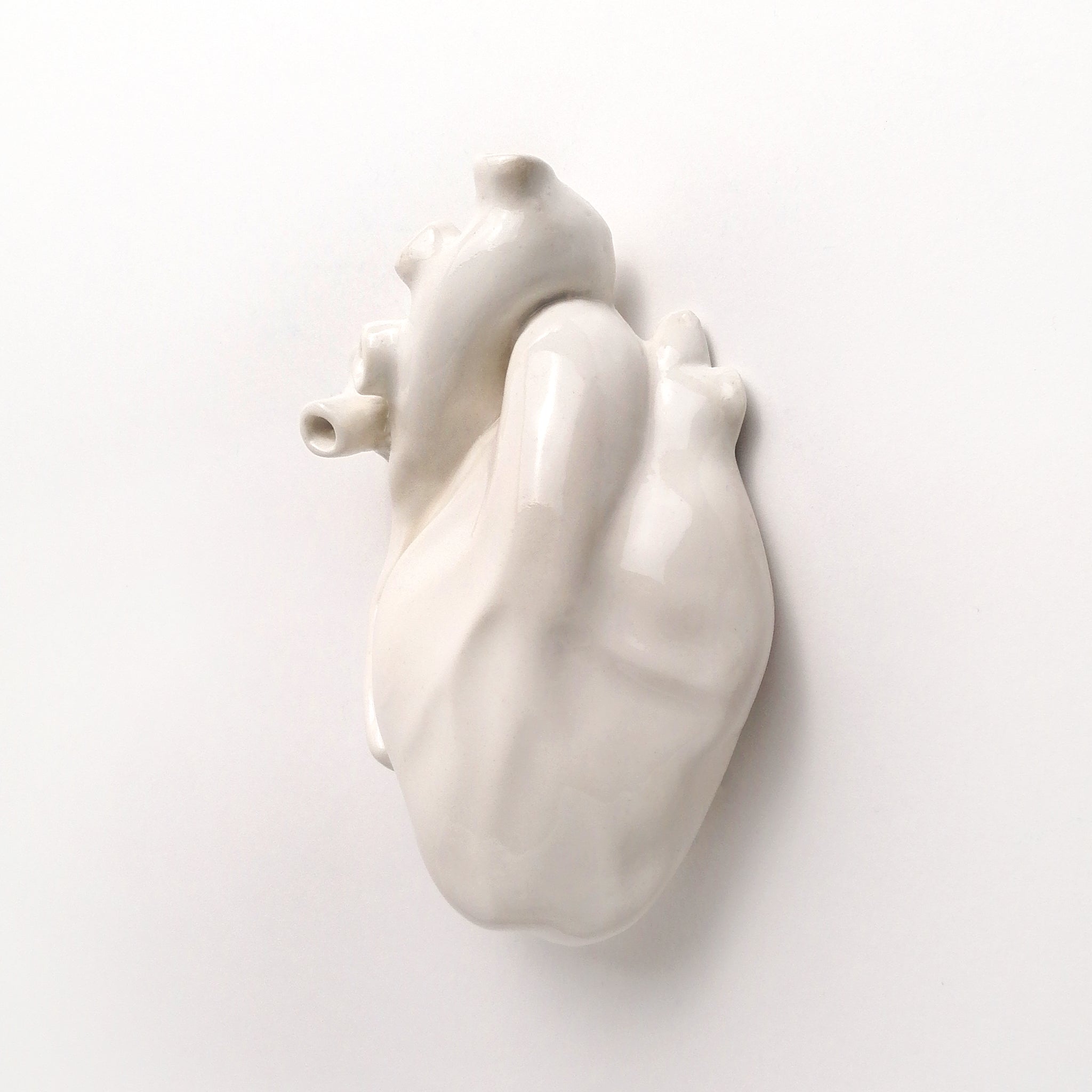 Cuore Anatomico Bianco
