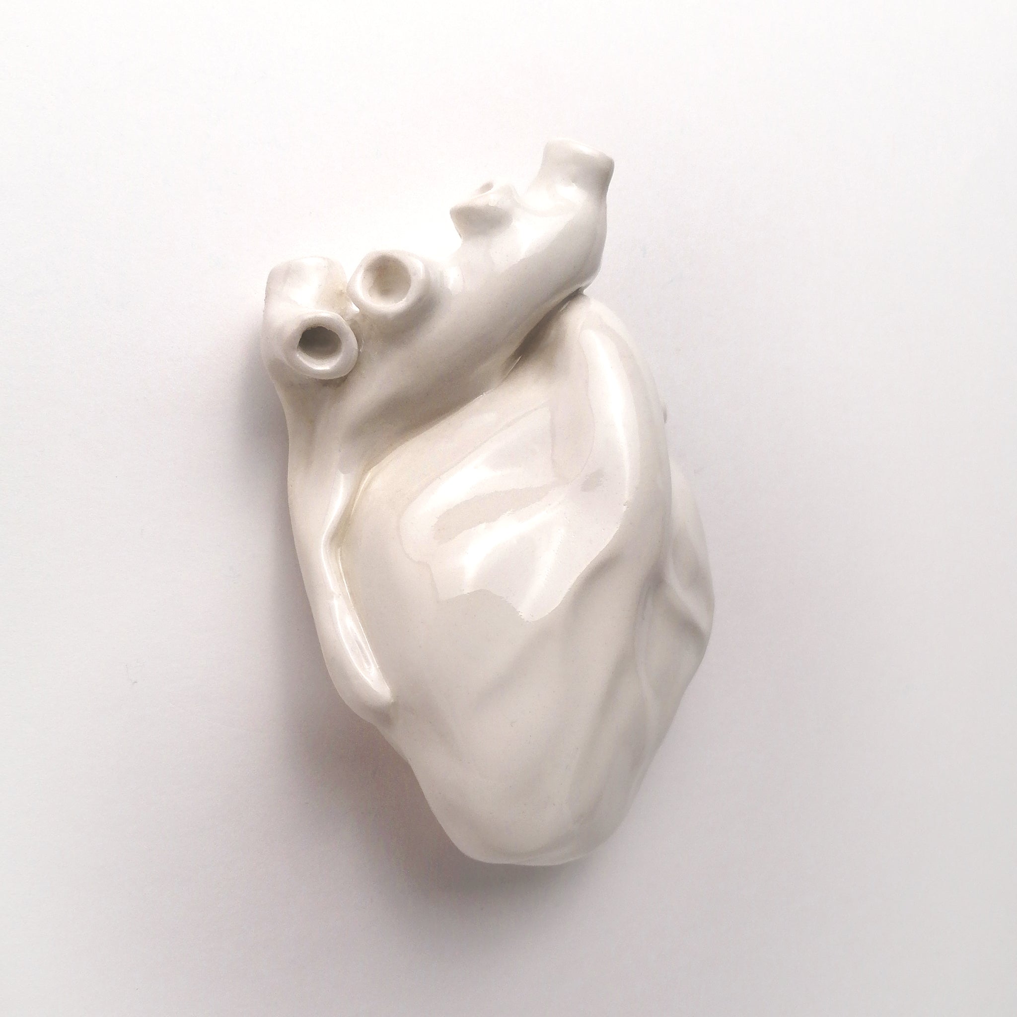 Cuore Anatomico Bianco