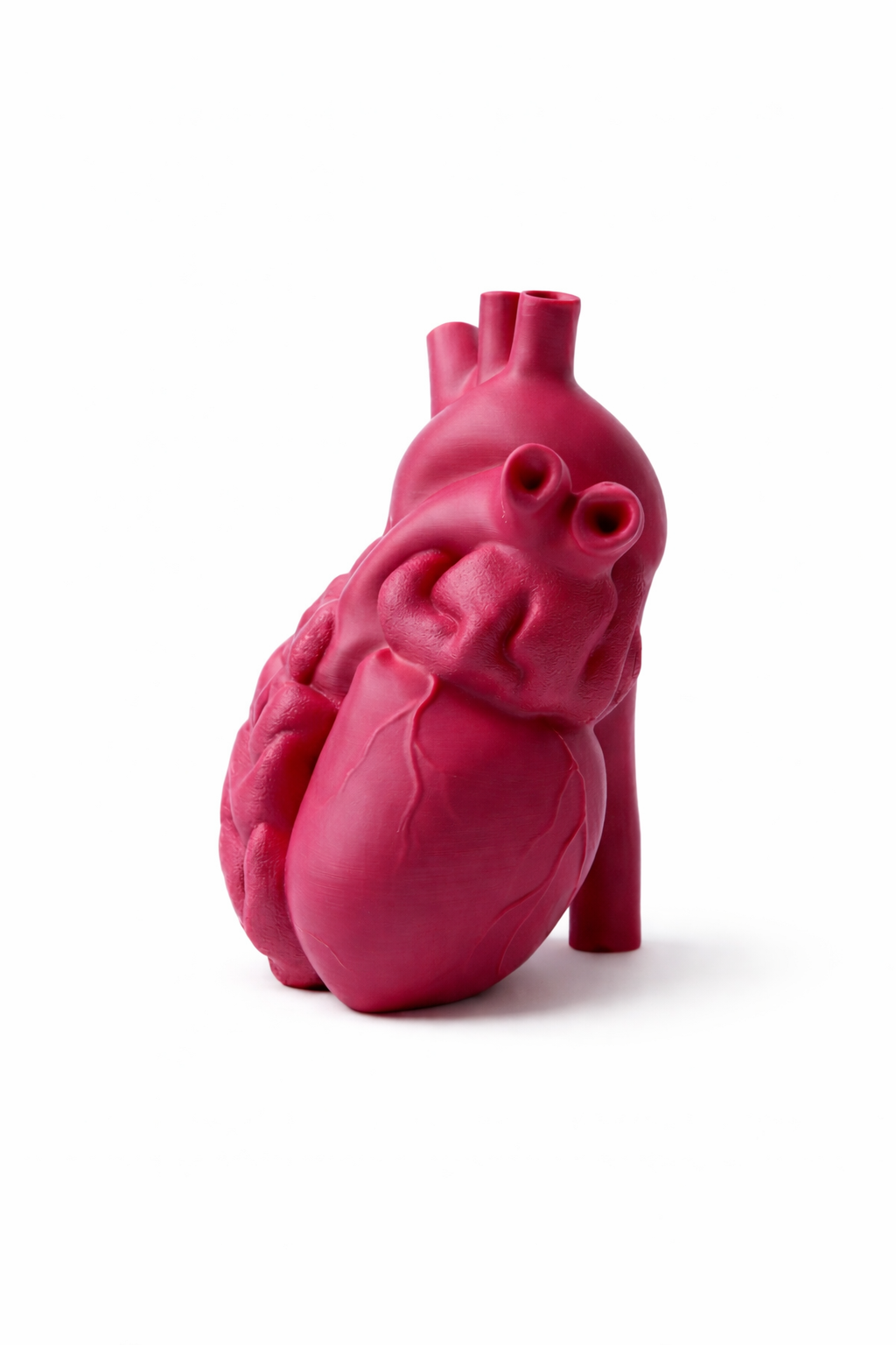 Non più due - Magenta