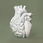 Cuore-cervello Vaso
