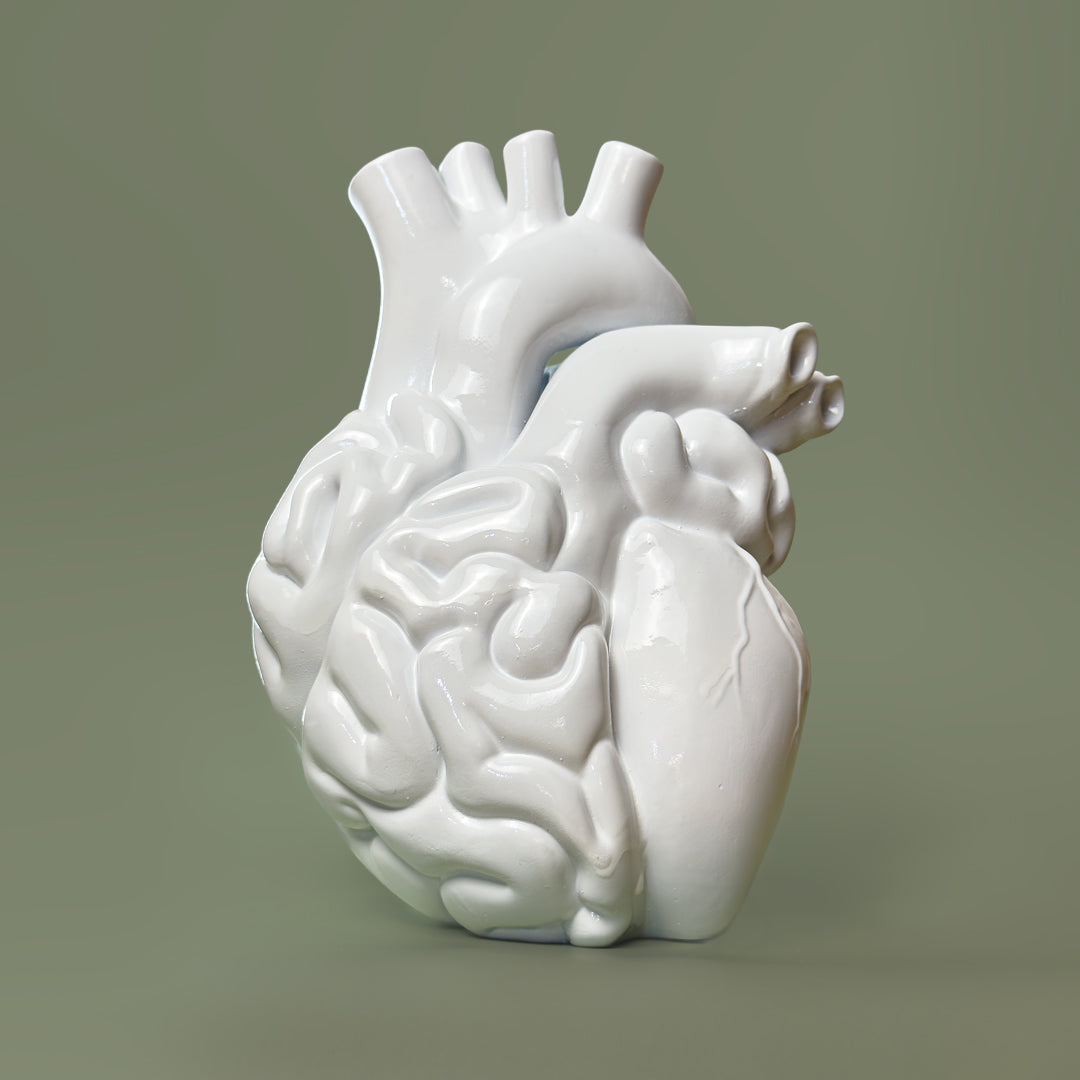 Cuore-cervello Vaso
