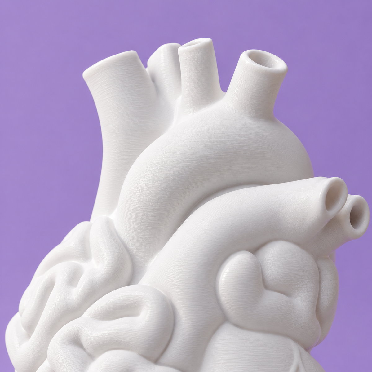 Cuore-cervello Vaso