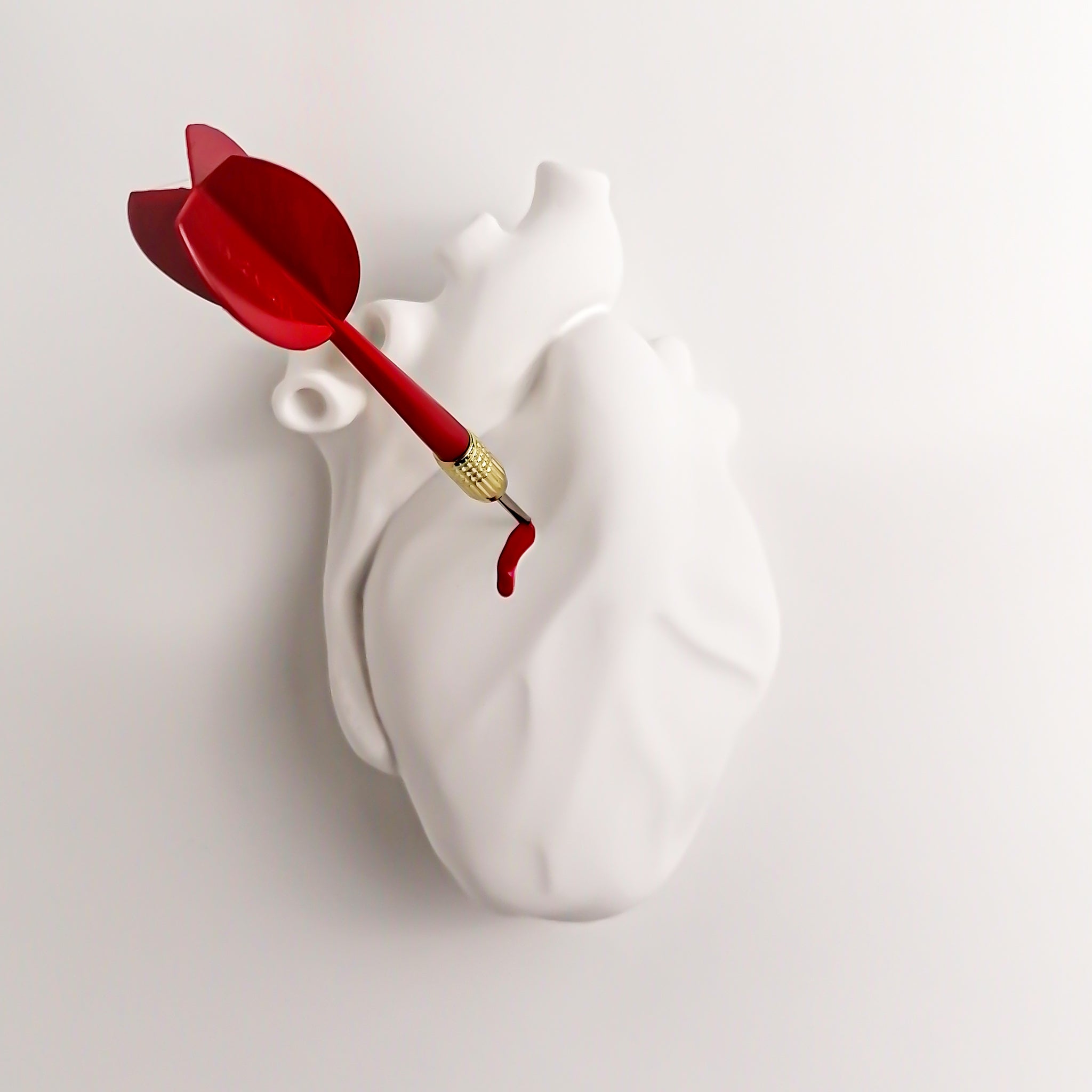 Cuore Anatomico Dart #1