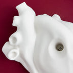 Cuore Anatomico "Tu" con Cornice