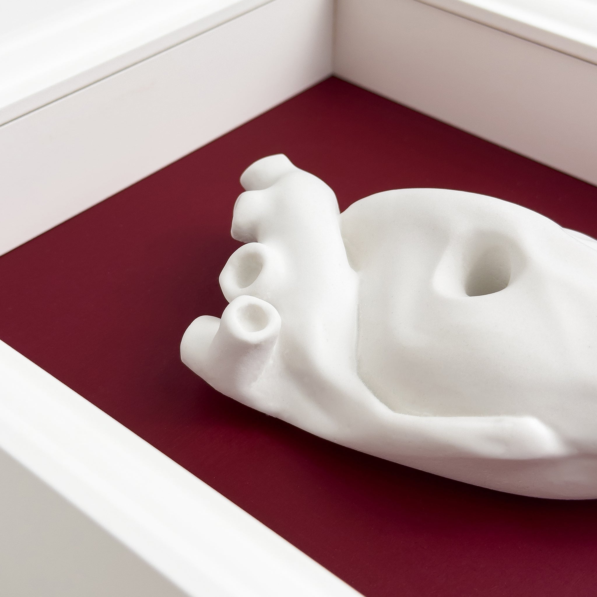 Cuore Anatomico "Tu" con Cornice