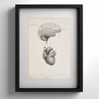 Illustrazione Cervello-Cuore