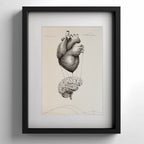 Illustrazione Cuore-Cervello