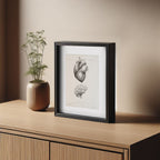 Illustrazione Cuore-Cervello