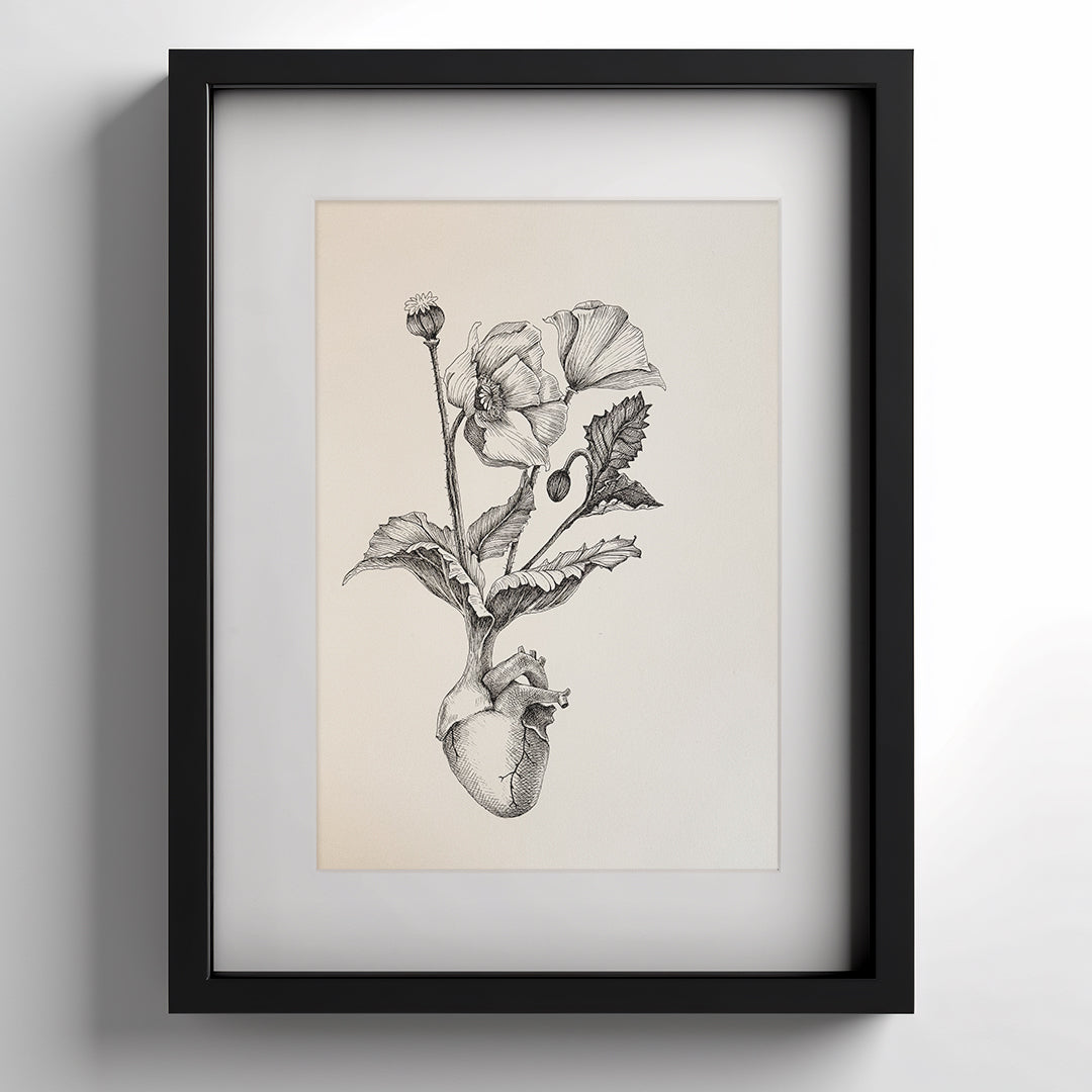 Illustrazione Cuore Papavero