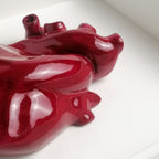 Cuore Anatomico Amaranto con Cornice Bianca