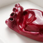 Cuore Anatomico Amaranto con Cornice Bianca