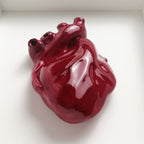 Cuore Anatomico Amaranto con Cornice Bianca