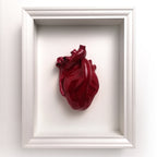 Cuore Anatomico Amaranto con Cornice Bianca