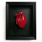 Cuore Anatomico Amaranto con Cornice Nera