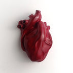 Cuore Anatomico Amaranto