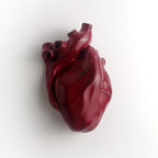 Cuore Anatomico Amaranto