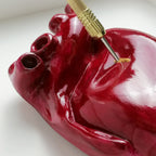 Cuore Anatomico Dart Amaranto con Cornice Bianca
