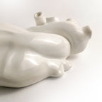 Cuore Anatomico Bianco