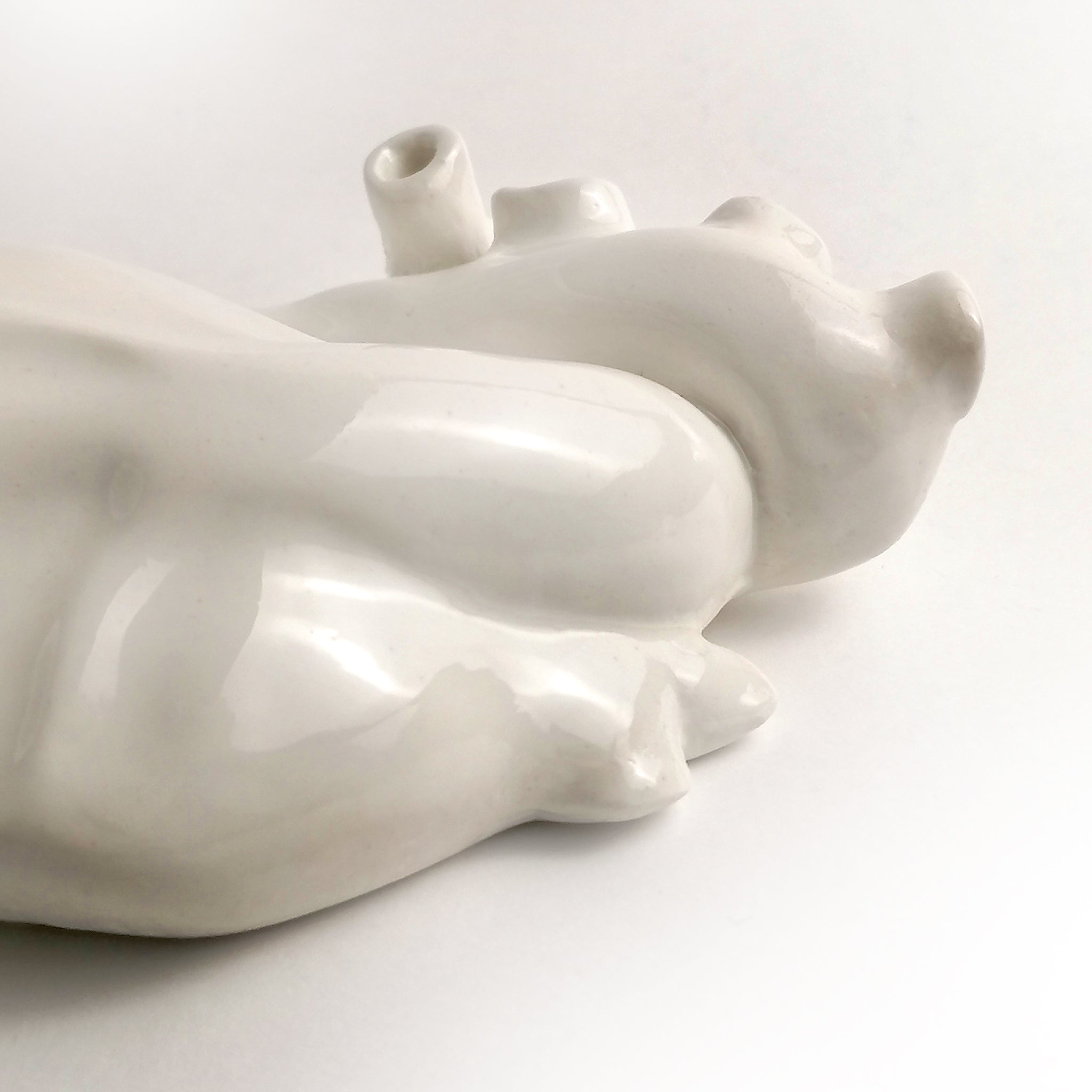 Cuore Anatomico Bianco