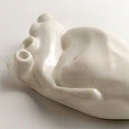 Cuore Anatomico Bianco