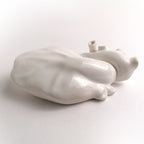 Cuore Anatomico Bianco