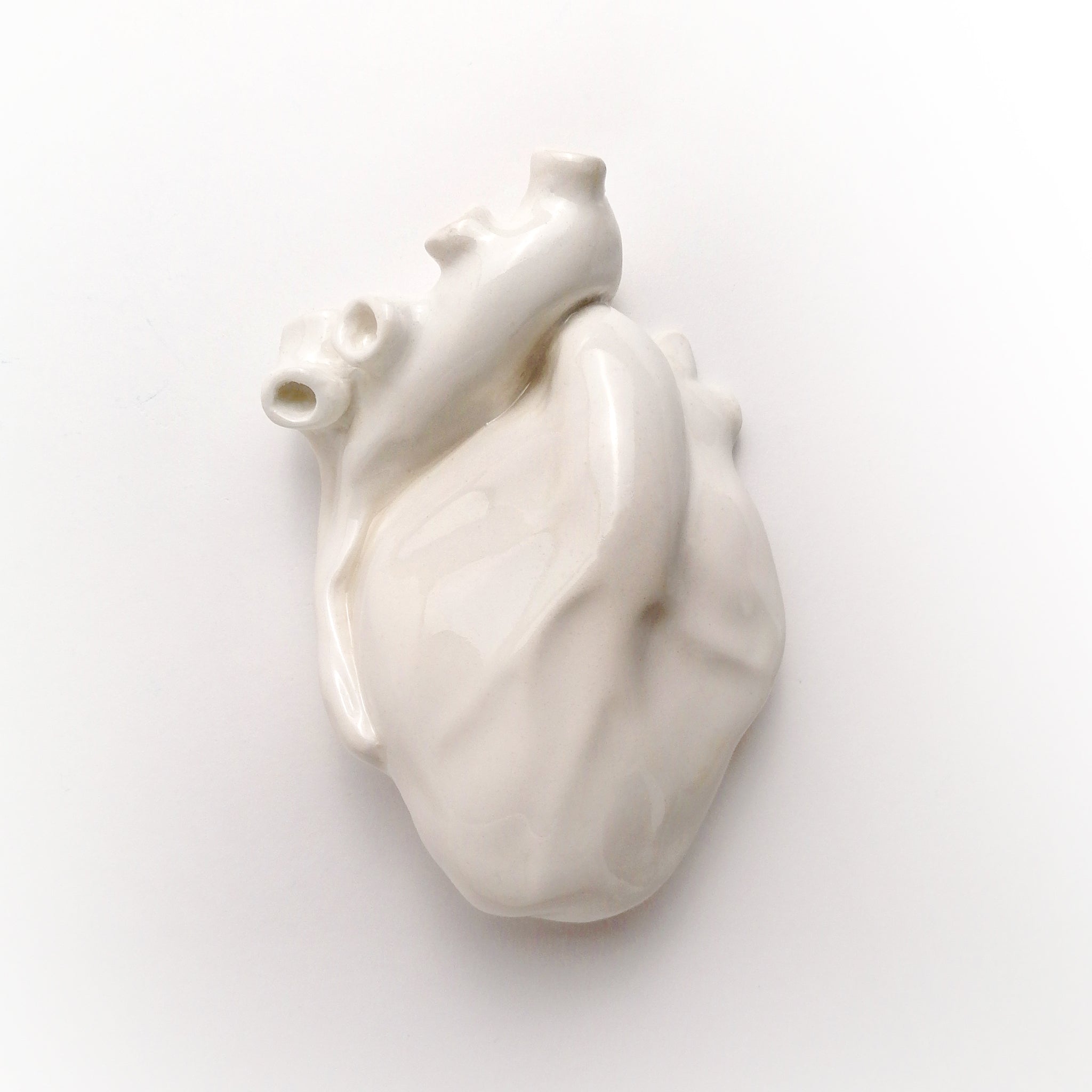 Cuore Anatomico Bianco