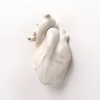 Cuore Anatomico Bianco