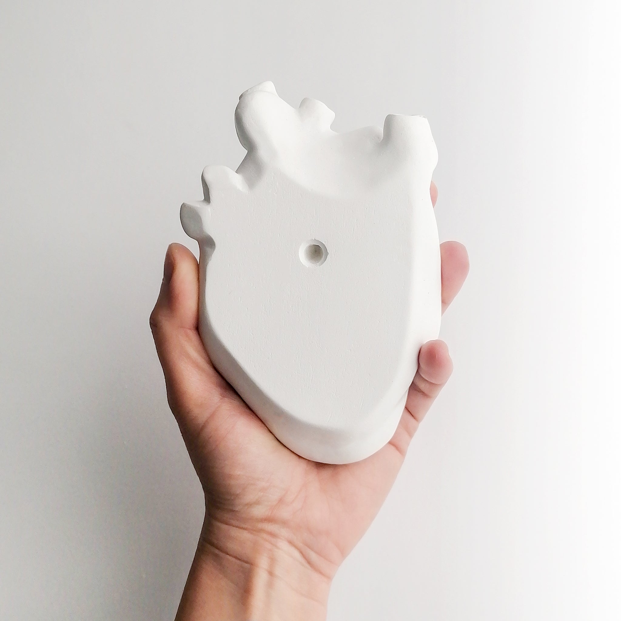 Cuore Anatomico Bianco